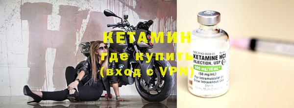 прущие грибы Видное