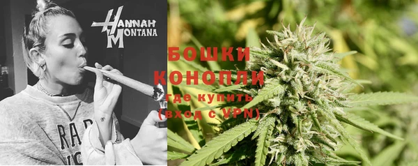 твердый Осташков