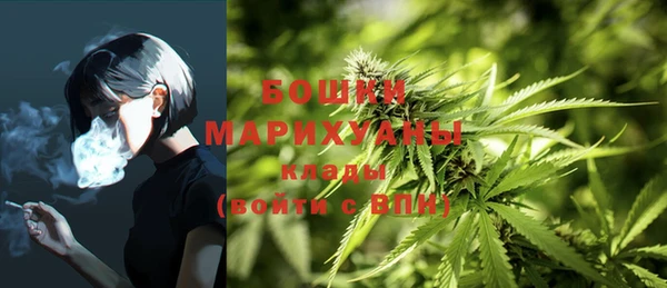 стафф Няндома