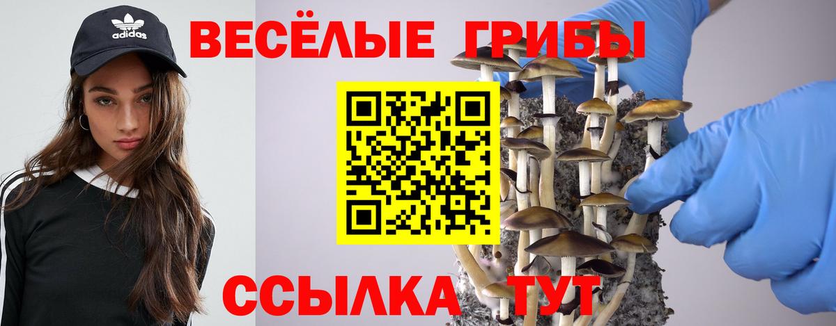 Псилоцибиновые грибы MAGIC MUSHROOMS Лысьва