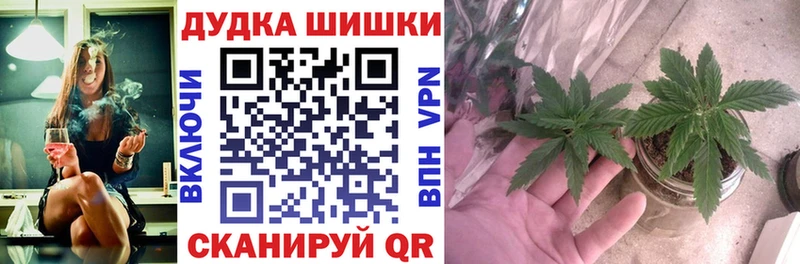 Шишки марихуана марихуана Лысьва
